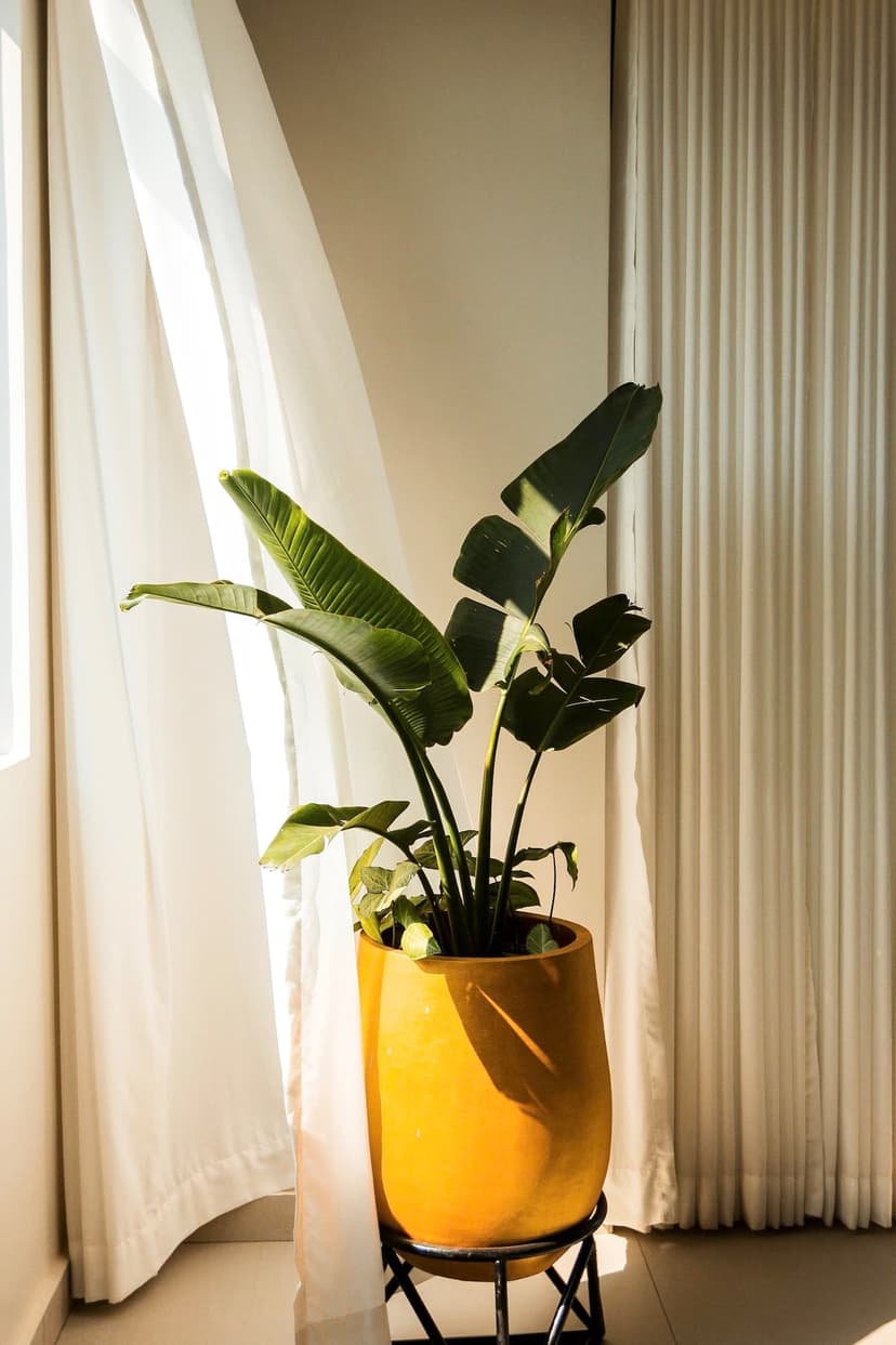 Amahoro Luxury Villa View